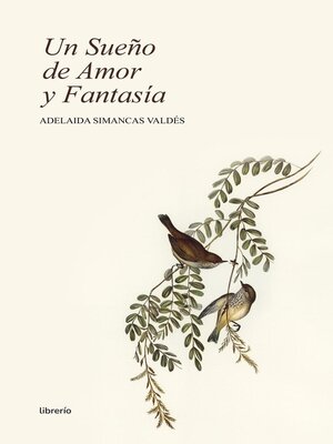 cover image of Un sueño de Amor y Fantasía